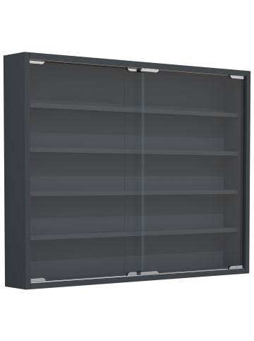VCM Hängevitrine Wandvitrine Sammel Deko Agisa L in Anthrazit