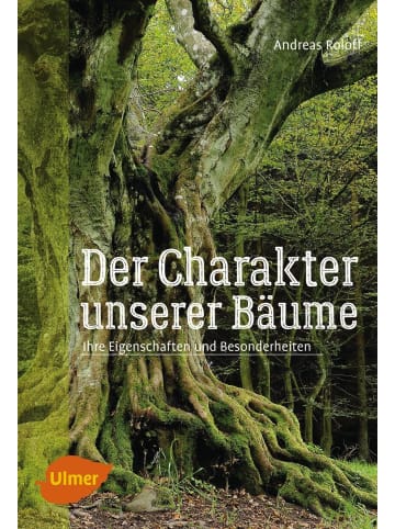 Ulmer Der Charakter unserer Bäume