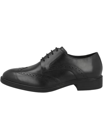 Geox Businessschuhe U Thorian C in schwarz