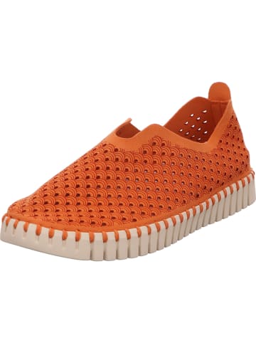 Ilse Jacobsen Slipper in orange