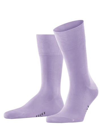 Falke Socken Tiago in Lupine