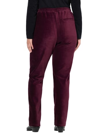 Ulla Popken Schlupfhose in pflaume