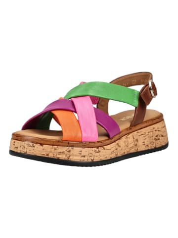 Gabor Sandalen in Multicolor