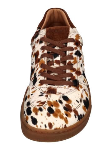 KOEL Sneaker Low HELENA SUEDE PRINT in bunt