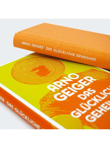 Carl Hanser Verlag Das glückliche Geheimnis