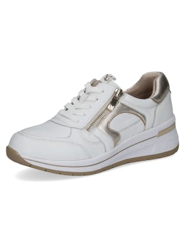 Caprice Schnürschuhe in white/light gold