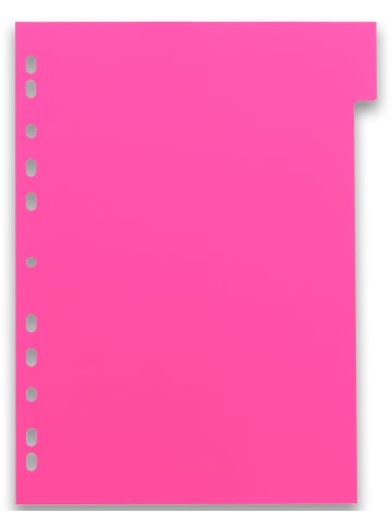 Oxford Register myColour A4 PP 300 my 12 Blatt sortierte Packung