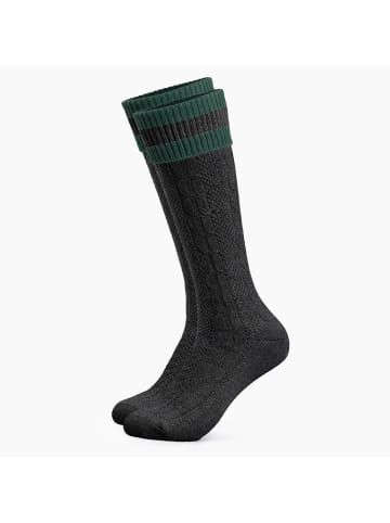 Occulto Lange Trachtensocken Wiesendistel in Anthrazit-Grün