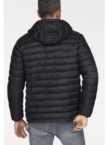 Polarino Steppjacke in schwarz