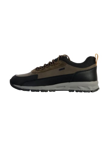 Geox Sneaker Basse aus Leder Doray Abx Tumb Synt.Le Grün