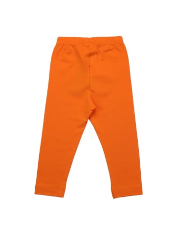 Walkiddy Leggings Mango Sorbet - Baumwolle (Bio)