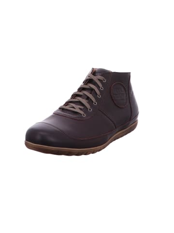 Franz Gustav Schnürschuh in braun