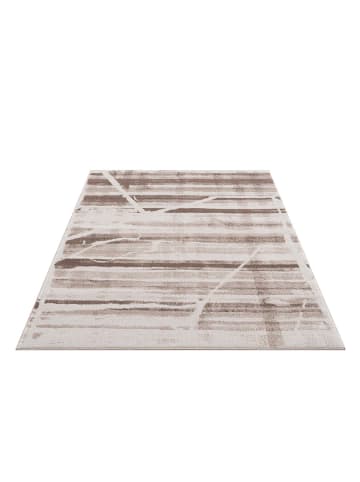 payé Teppich Kurzflor Toscai