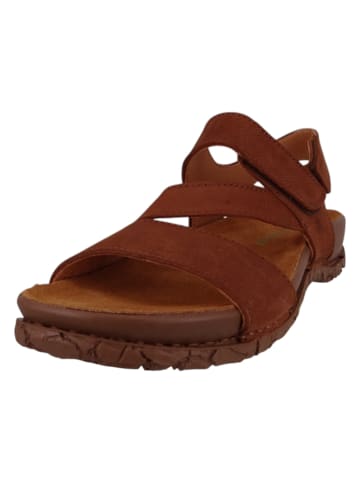 El Naturalista Sandalen braun