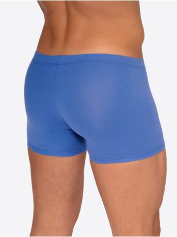 Olaf Benz Boxer RED2556 Casualpants in royal