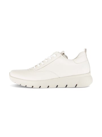 Gabor Sneaker low 83.460 in creme