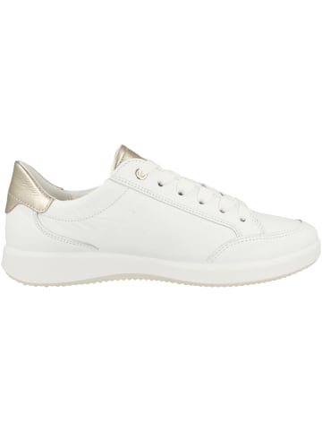 ara Sneaker low 12-23901 in weiss