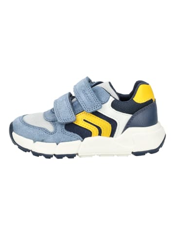 Geox Sneaker in Blau/Gelb