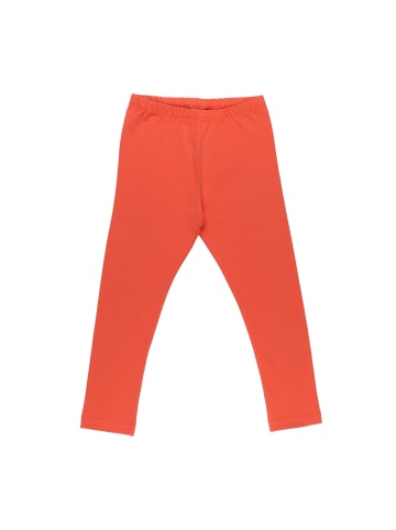 Walkiddy Leggings Langoustine - Leggings