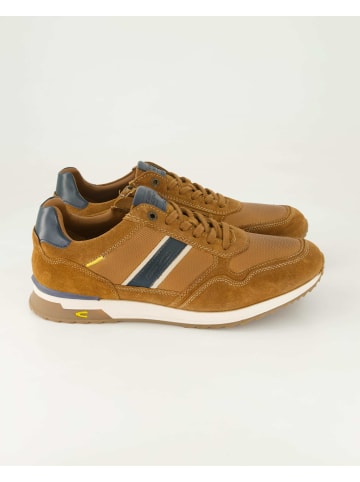 Camel Active Sportliche Schnürschuhe in Braun