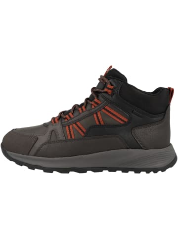 Geox Sneaker mid U Terrestre B Wpf B in dunkelbraun