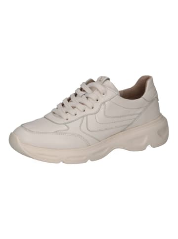 Caprice Sneaker Vanilla