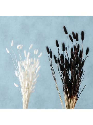 Boltze Deko-Zweige in weiß