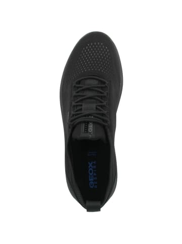 Geox Sneaker für Herren in schwarz