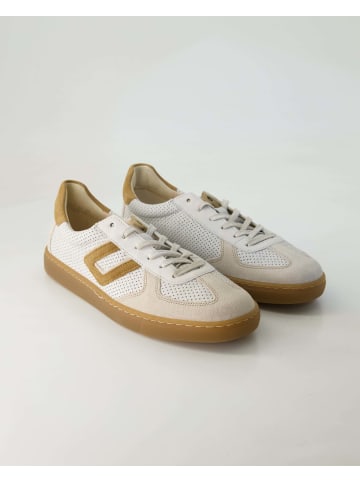 Gabor Comfort Sportliche Schnürschuhe in Beige