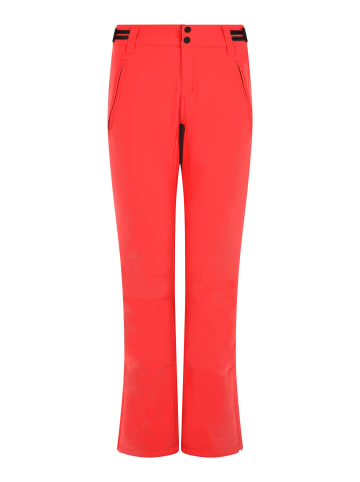 Protest " PRTRELOLE in Poppy Red