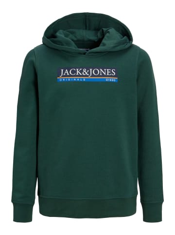 Jack & Jones Kapuzen Hoodie mit Logo Print JORCODYY in Grün