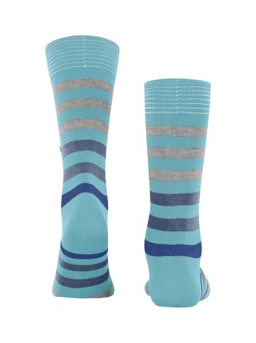 Burlington Socke Blackpool SO in Key largo