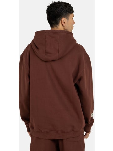 Reell Hoodie "Team Hoodie" in Rot