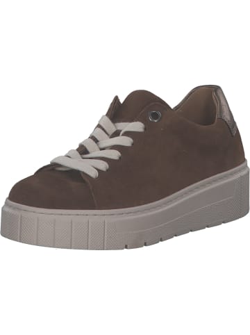 Gabor Comfort Schnürschuhe in whisky/fango