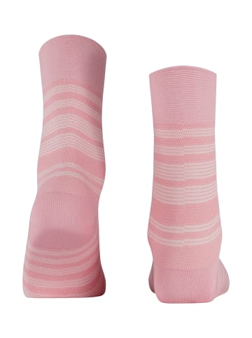 Falke Socken Sensitive Sunset Stripe in Rose