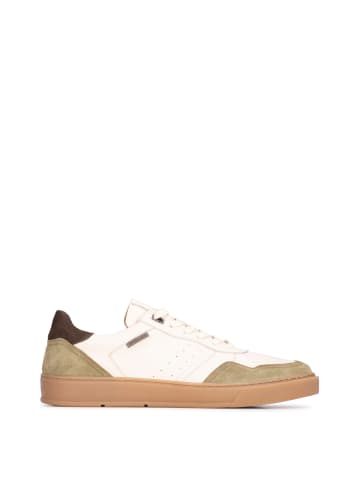 POELMAN PS Poelman GREGORY Herren Sneaker