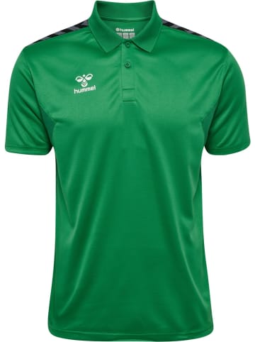 Hummel Polo "Hmlauthentic Functional Polo" in Multicolor