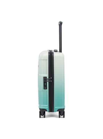Epic Crate EX Wildlife 4 Rollen Kabinentrolley 55 cm in greenvelvet