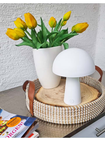 Coen Bakker LED Pilz Tischlampe dimmbar Touch Farbwechsler IP44 Innen Außen 15x21cm Weiß