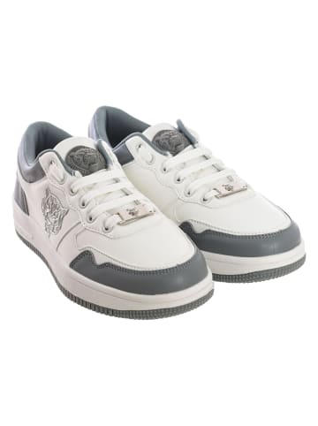 Plein Sport Sneakers in Gray