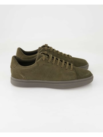 Geox Sneaker low in Grün