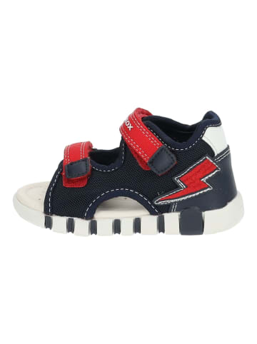 Geox Sandalen in Navy/Rot