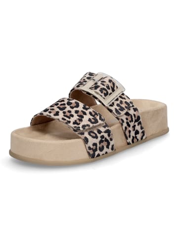 Paul Green Pantolette in Leo