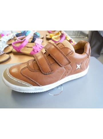 Froddo Halbschuhe Kinder in braun