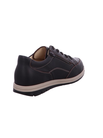 Finn Comfort Sneaker Low in braun