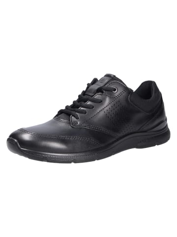 Ecco Sneaker in schwarz