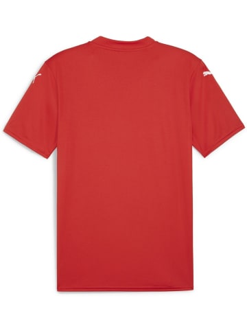 Puma Sportshirt "TeamGLORY Jersey" in Rot
