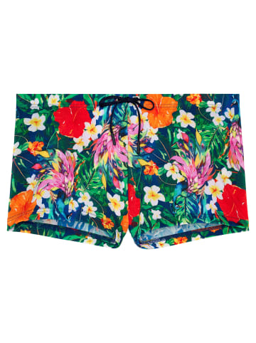 HOM Badeshorts Swim Shorts Peacock in multico print