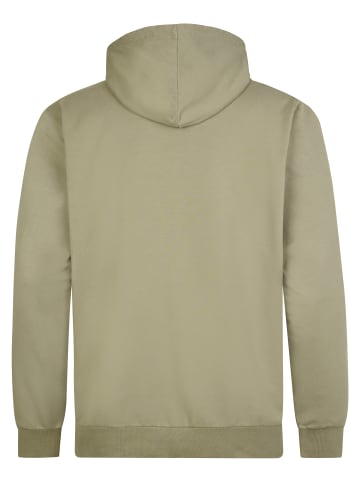 Petrol Industries Baumwoll-Hoodie in großen Größen steelview in Grün