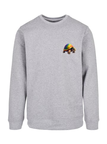 F4NT4STIC Sweatshirt Rainbow Turtle CREWNECK in grau meliert